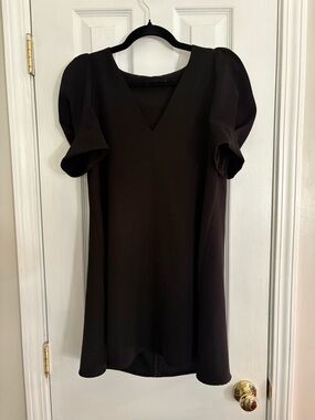 Zara Black V-Neck Short Sleeve Dress